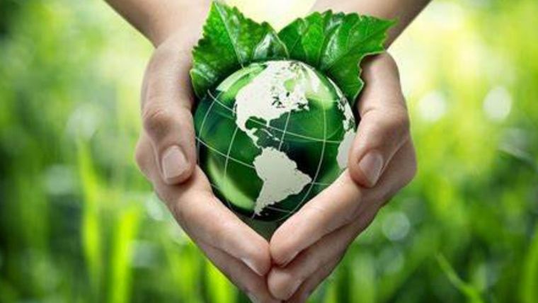 La sustentabilidad no es un objetivo distante, sino una necesidad apremiante, dada la creciente interconexión de nuestra sociedad global. Foto: MDZ