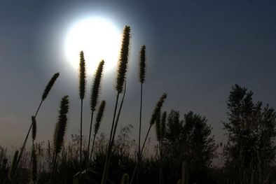 MDZol | Este es el calendario de enero 2024, conocelo en esta nota Foto: Freepik