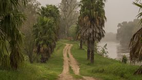 Carcarañá, el pueblo santafesino que combina naturaleza, historia y el encanto del río. Carcarañá, el pueblo santafesino que combina naturaleza, historia y el encanto del río.