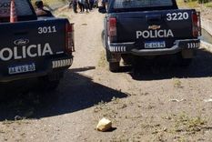 robaron y faenaron cuatro caballos en una finca de san rafael