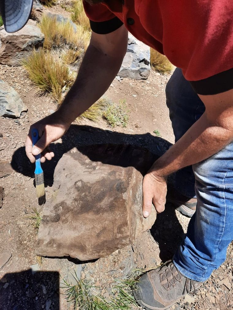 Foto: Municipalidad de Malargüe