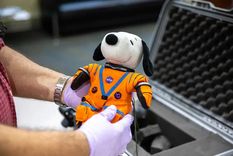 Snoopy, el indicador de gravedad cero que voló a bordo de Orión durante la misión Artemisa I.