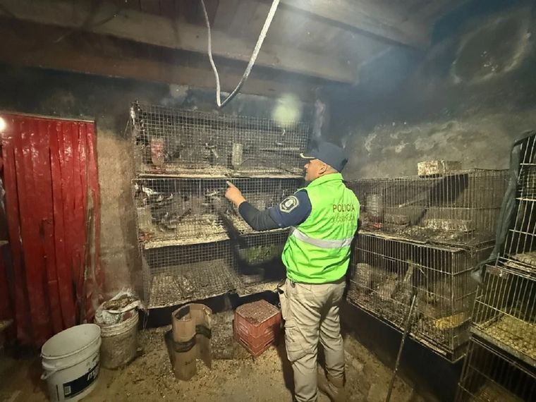 Los animales estaban encerrados en una casa ubicada en la calle 142 entre 54 y 55, en la ciudad de La Plata.&nbsp;
