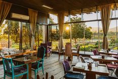 restaurantes en valle de guadalupe: los mejores vinos y propuestas gastronomicas de mexico