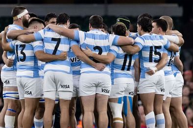 MDZol | los-pumas-43653