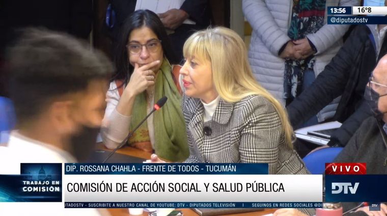 Sesión en vivo de Diputados Foto: Captura