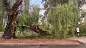 El Gobierno provincial confirmó que no hubo víctimas tras el temporal de este viernes. El Gobierno provincial confirmó que no hubo víctimas tras el temporal de este viernes.