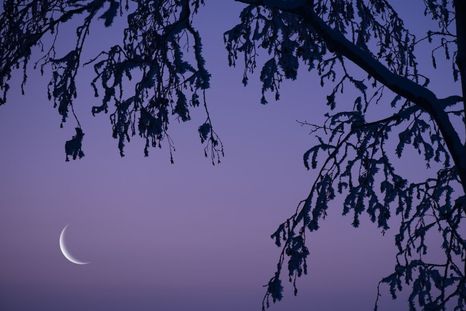 El 24 de abril la Luna entró en fase creciente. El 24 de abril la Luna entró en fase creciente.