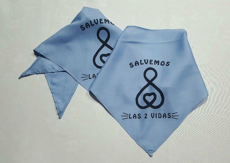 Las organizaciones están en contra del proyecto de ley enviado por Fernández.