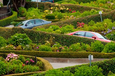 MDZol | La calle Lombard de San Francisco (EEUU) se terminó de hacer en 1922 y se hizo para reducir la velocidad de los coches en su empinada cuesta. Se aconseja circular a sólo 5 kilómetros por hora. Foto: Neale Clark - admagazine.com