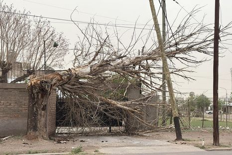 Defensa Civil registró más de 400 incidentes en toda la provincia. Defensa Civil registró más de 400 incidentes en toda la provincia.