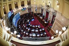 El pliego de Carlés fue aprobado en la sesión de hoy. Foto: Prensa Senado Nacional.