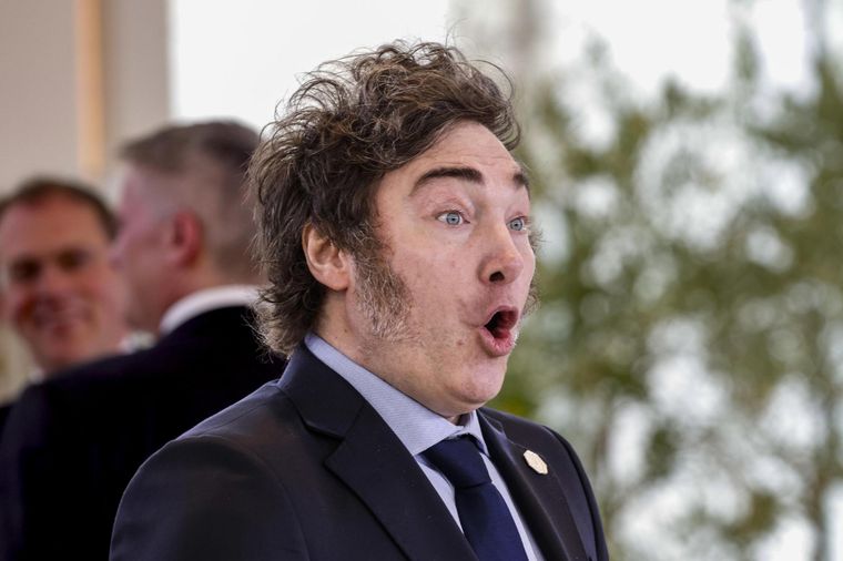 Milei encabeza una nueva reunión de Gabinete Foto: EFE