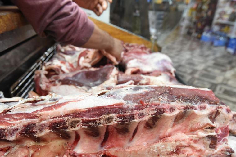 Desde la Cámara de Abastecedores de Carne de Mendoza se refirieron a los dichos de Eduardo Buzzi Foto: Maximiliano Ríos/MDZ