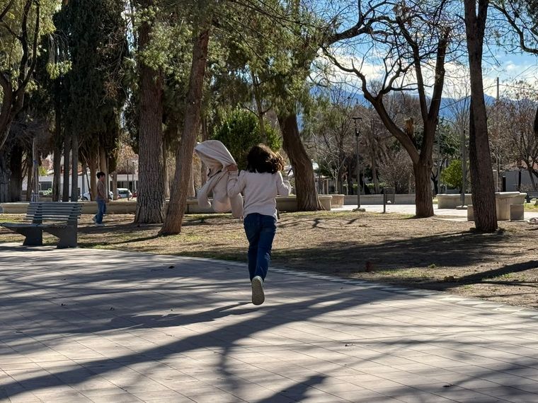 Tras el viento Zonda, ingresará un frente frío. 