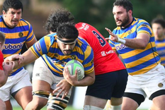 newman aplasto a los tilos en una nueva jornada del rugby de la urba