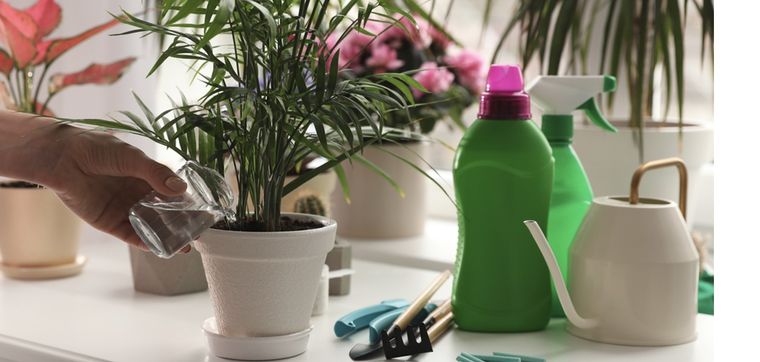 Sin necesidad de recurrir a abonos químicos Foto: Shutterstock