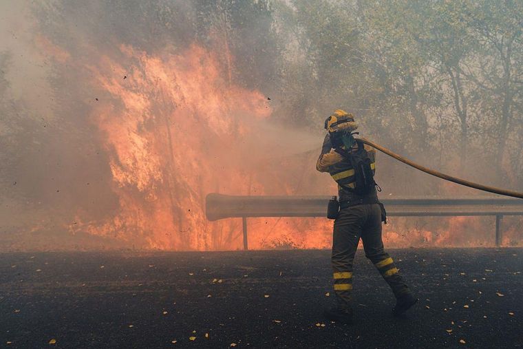 https://www.bbc.com/mundo/articles/cjr1qd8n0rdo