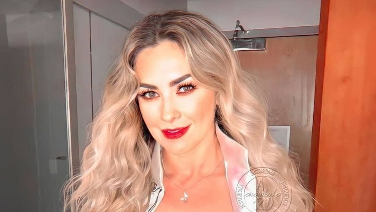 Aracely Arámbula, Luis Miguel