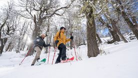 La caminata con raquetas se convirtió en una de las actividades atractivas de Bariloche La caminata con raquetas se convirtió en una de las actividades atractivas de Bariloche