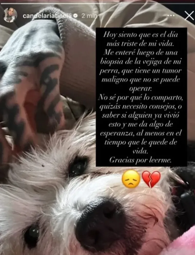 La dura noticia que expresó Cande Tinelli. La dura noticia que expresó Cande Tinelli.