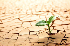 ¿por que el ser resilientes nos ayuda a construir en la adversidad?