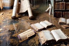 Las imágenes que se filtraron de los libros dañados en el Louvre.
