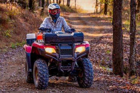 Honda fabricará cuatriciclos en Campana: todos los detalles del TRX420 Honda fabricará cuatriciclos en Campana: todos los detalles del TRX420