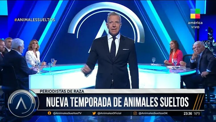 Animales Sueltos regresó con buenas expectativas en el rating