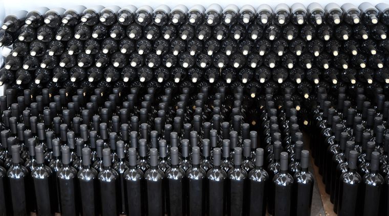 La vitivinicultura apostará por la exportación. Foto: ALF PONCE MERCADO / MDZ