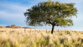 El Valle de Pancanta, en San Luis, combina naturaleza, leyendas y la calma típica de las sierras. El Valle de Pancanta, en San Luis, combina naturaleza, leyendas y la calma típica de las sierras.