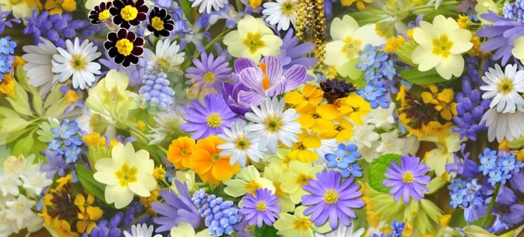 Con este abono casero el jardín estará lleno de plantas Foto: Noticias Argentinas