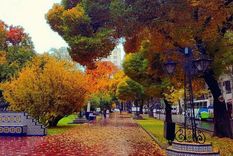 El otoño, una de las estaciones má lindas para disfrutar de Mendoza.