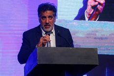 meritello expuso ante un plenario en diputados