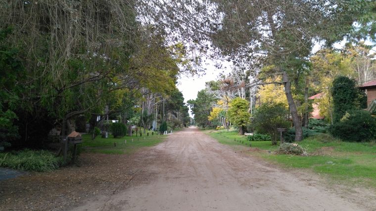 Costa del Este es uno de los destinos más buscados en este 2026. Costa del Este es uno de los destinos más buscados en este 2026.