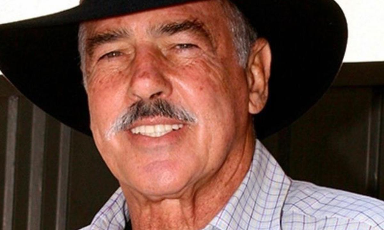 Arena se llama la hija desconocida de Andrés García.