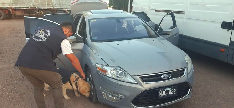 Atento Apolo olfateó el rodado y descubrió que algo raro había.