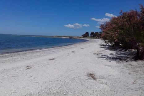 Los Pocitos se ubica en el partido de Patagones, provincia de Buenos Aires.