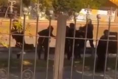 Un fuerte operativo realizado en Córdoba, en una jornada marcada por la tensión, tiros y caos, dejó por saldo a dos policías heridos.