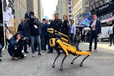 perros robots El perro robot Digidog se usará en NY. Foto: Efe.