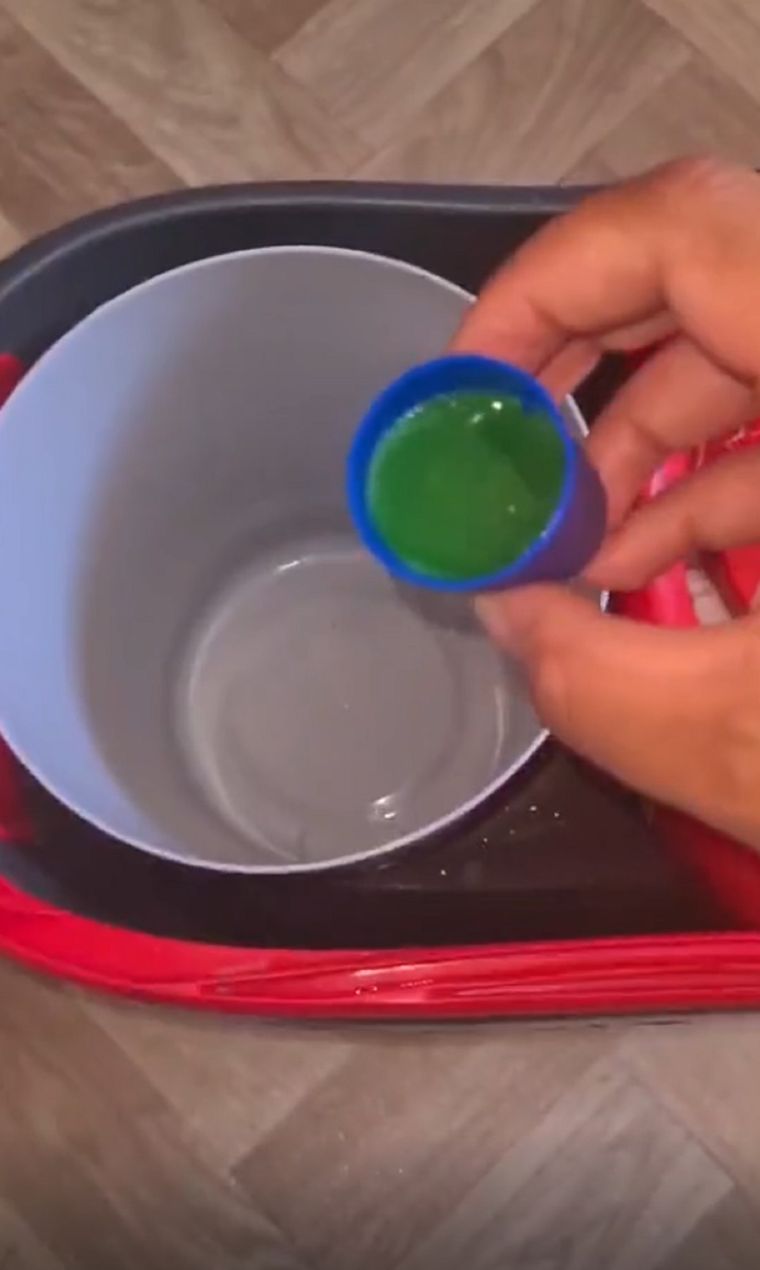 Video viral Foto: TikTok