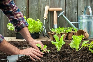 MDZol | Ponete manos a la obra y renová tu jardín Foto: SHUTTERSTOCK