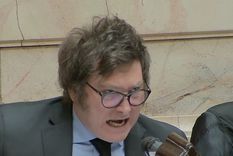 la dura frase de javier milei sobre cristina fernandez de kirchner y la estafa estatal la dura frase de javier milei sobre cristina fernandez de kirchner y la estafa estatal