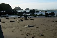 habilitaran 70 kilometros de playas virgenes en chile