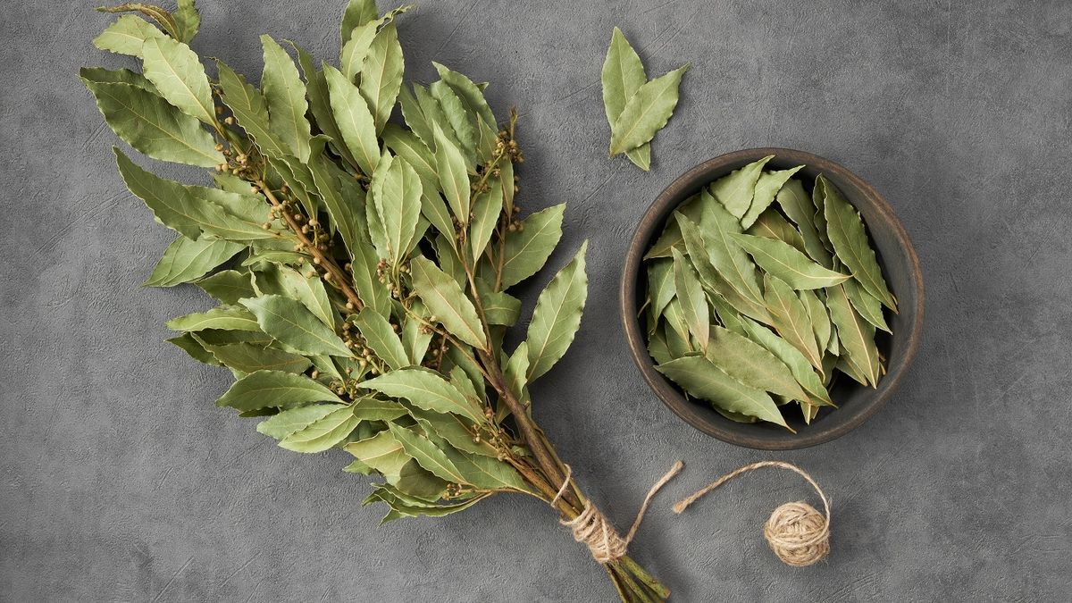 El secreto con bicarbonato y laurel que cambia el olor de tu hogar