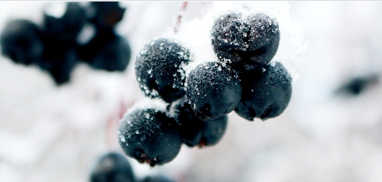 Foto: Pixabay - pixabay.com