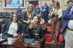 La Libertad Avanza sufrió una fractura en su bloque. Foto: Archivo Mdz