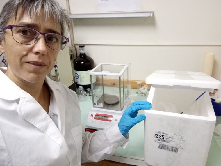 Ocho mujeres argentinas trabajando para combatir el Covid.
