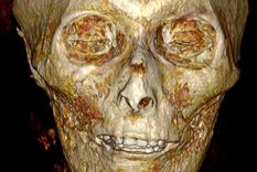 Una tomografía muestra la calavera de Amenhotep I Foto: PA MEDIA