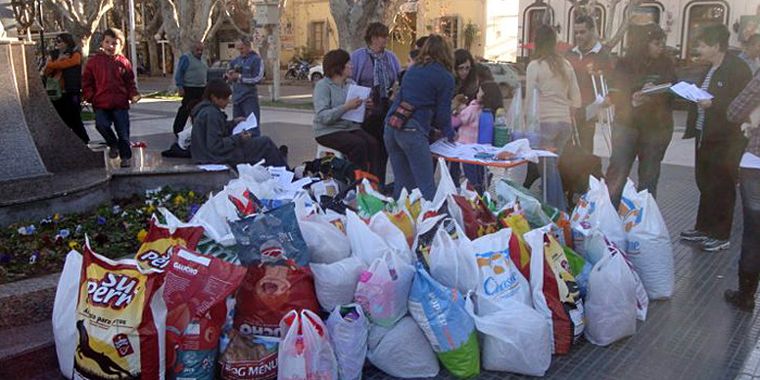Foto: Facebook/Sociedad protectora de los animales y las plantas San Rafael